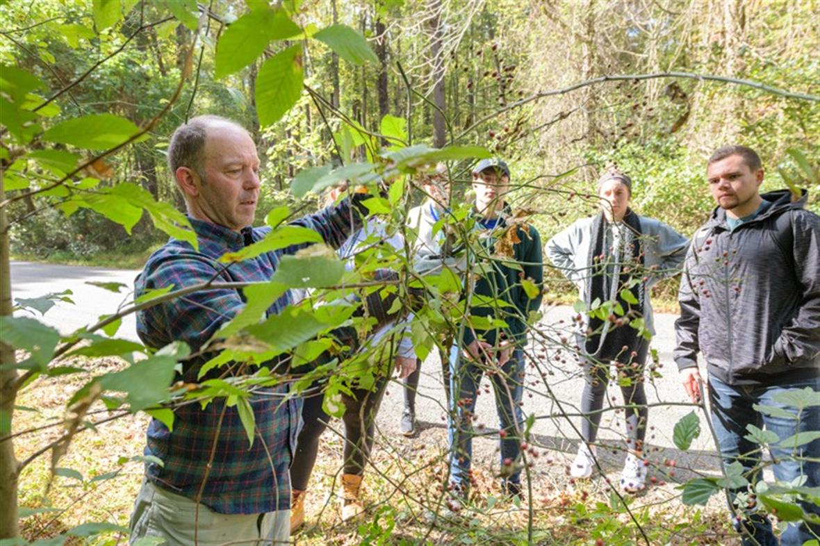 rof. McKay Jenkins shows students in his environmental literature class how to identify and remove some invasive plants from the woods in White Clay Creek State Park.
